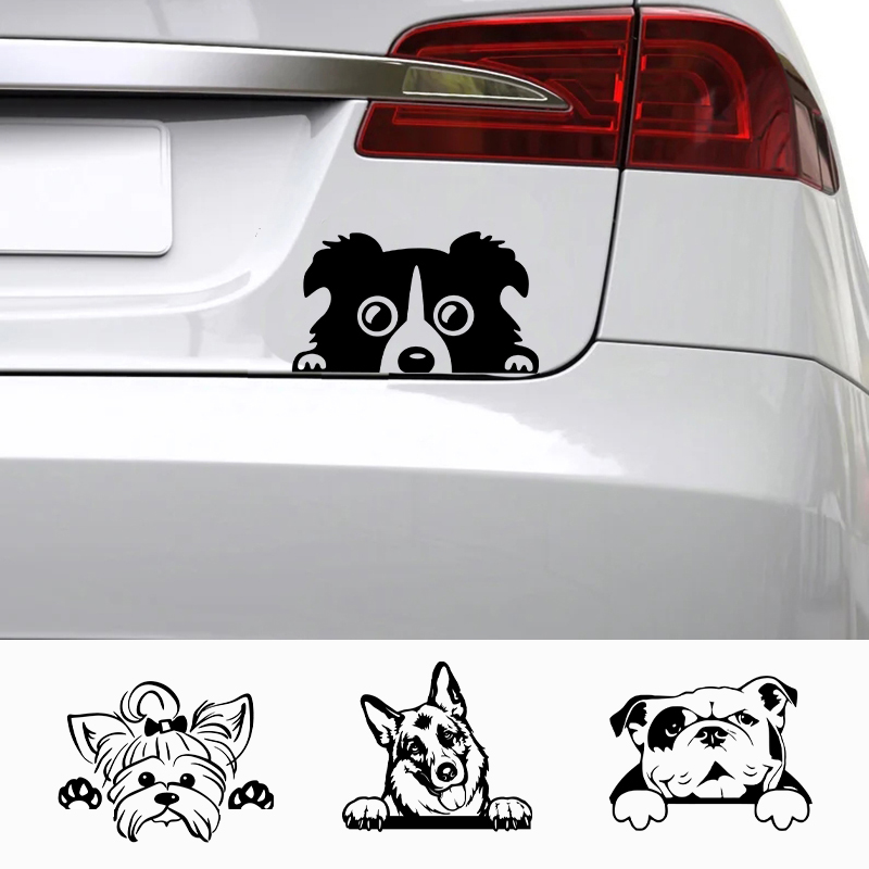 Cars Accessorie Decals Funny D - Apple Accessories Laptop review and price